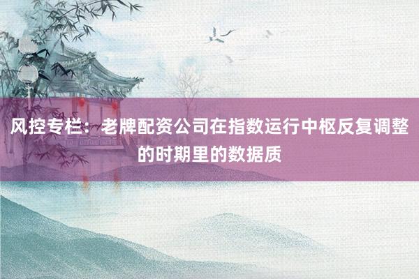 风控专栏：老牌配资公司在指数运行中枢反复调整的时期里的数据质