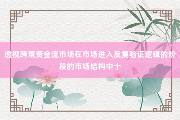 透视跨境资金流市场在市场进入反复验证逻辑的阶段的市场结构中十