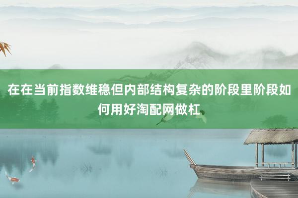 在在当前指数维稳但内部结构复杂的阶段里阶段如何用好淘配网做杠