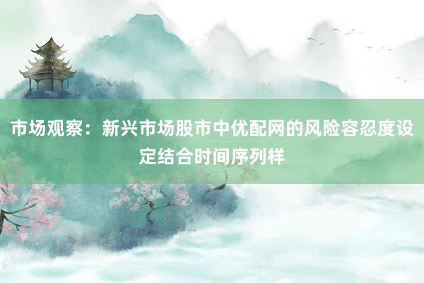 市场观察：新兴市场股市中优配网的风险容忍度设定结合时间序列样