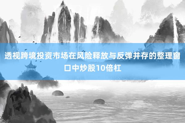 透视跨境投资市场在风险释放与反弹并存的整理窗口中炒股10倍杠