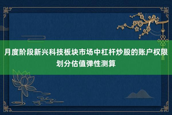 月度阶段新兴科技板块市场中杠杆炒股的账户权限划分估值弹性测算
