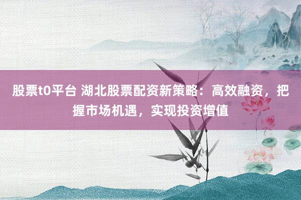 股票t0平台 湖北股票配资新策略：高效融资，把握市场机遇，实现投资增值